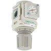 CKD Regulator r10008 W