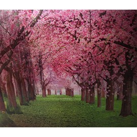 Seasons Trees - Triple Views - 3D Lenticular Poster - 12x16 Animated Print - 3 Prints in 1