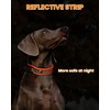 Kaka Mall Adjustable, Breathable, Reflective Nylon Dog Collar