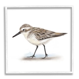 Stupell Industries Nautical Sandpiper Bird on Sand Speckled Feathers, Designed by Studio Q White Framed Wall Art, 12 x 12, Grey