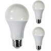 Diodesy- A19 LED Light Bulb 16W 1600 Lumen E26 Medium