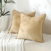 Stellhome Pack of 2 Soft Textured Throw Decorative Pillow Covers