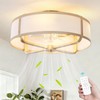 Beiduna 18" Gold Flush Mount Ceiling Fan with Light, Caged