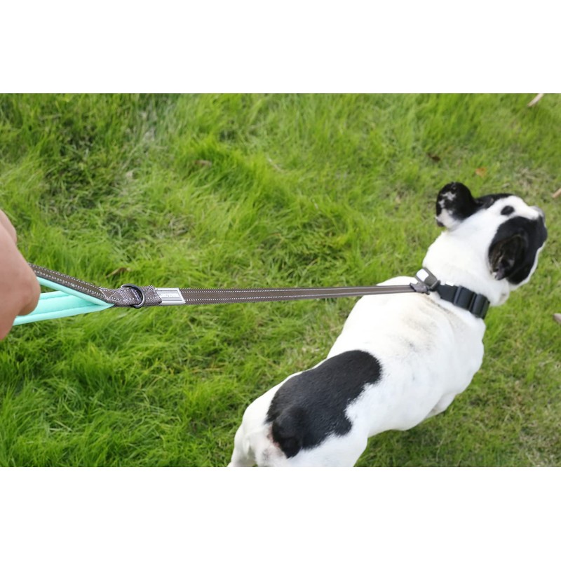 VIVAGLORY Dog Lead with Comfortable Neoprene Padded Handle, Heavy Duty