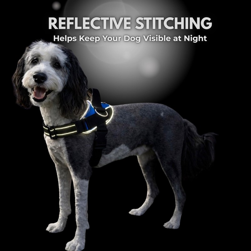 ShawnCo Essential Dog Harness, No-Pull Pet Vest with 3 Leash