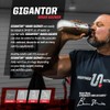 Undefined Nutrition Gigantor Mass Gainer by Brian Shaw (60g Protein,