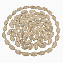 500g/1.1lb Petal Shape Ceramics Mosaic Tiles Pieces,Random Color Irregular Ceramics Mosaic Tiles for Mosaic Art Projects and DIY Crafts Home Decoration. (Petal 08)