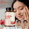 Highly concentrated pomegranate extract, 40% ellagic acid, antioxidant effect, immune support, platelet health, 3 pieces, 120 tablets / 고농축 석류 추출물 엘라직애씨드 40% 함유 항산화 효과 면역력 지원 혈소판 건강, 3개, 120정