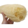 Pack De 4 Esponjas De Lufa Natural Orgánica Para Baño