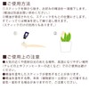OKA PLYS Pris Green with Small Bird Stick Fuser, Fake