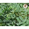 Indo Farm 100% Organic Brown 200g (100g x 2 pieces)