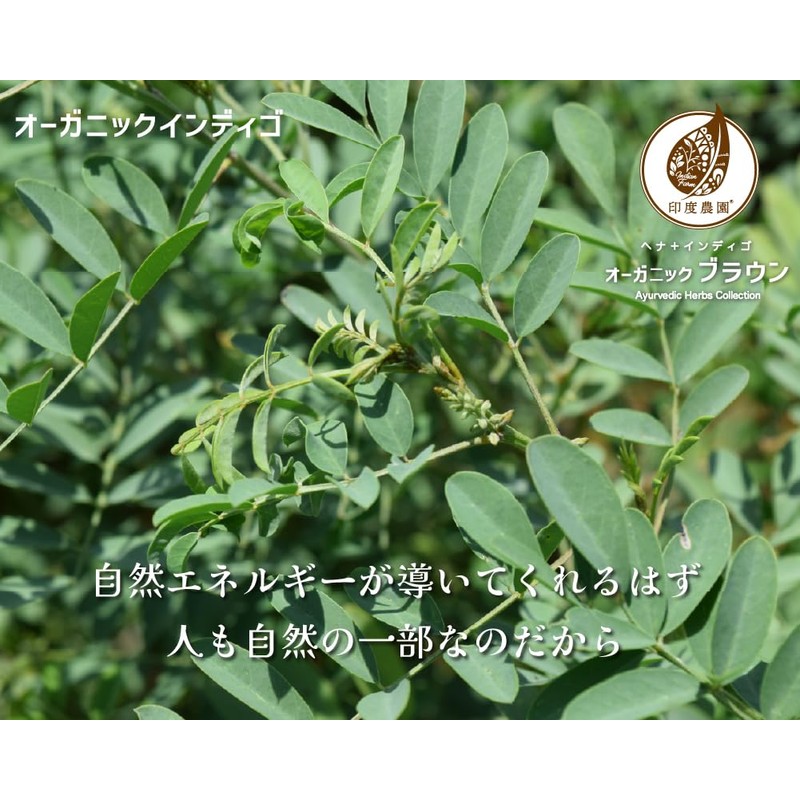 Indo Farm 100% Organic Brown 200g (100g x 2 pieces)