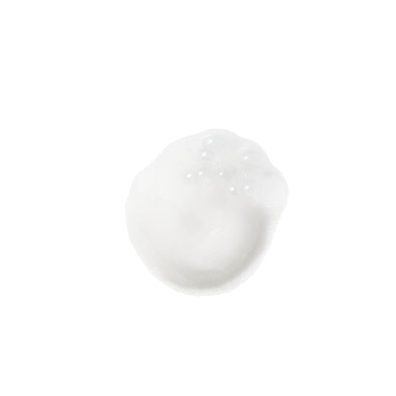 Weleda Gentle cleansing foam, 5 Ounce