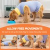 Avont Dog Surgery Recovery Suit, Post-Spay/Neuter Onesie for Female/Male Puppies,