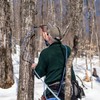 Butternut Mountain Farm Pure Maple Syrup From Vermont, Grade A