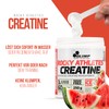 Olimp Rocky Athletes Creatine - 250 g, Watermelon Ice -