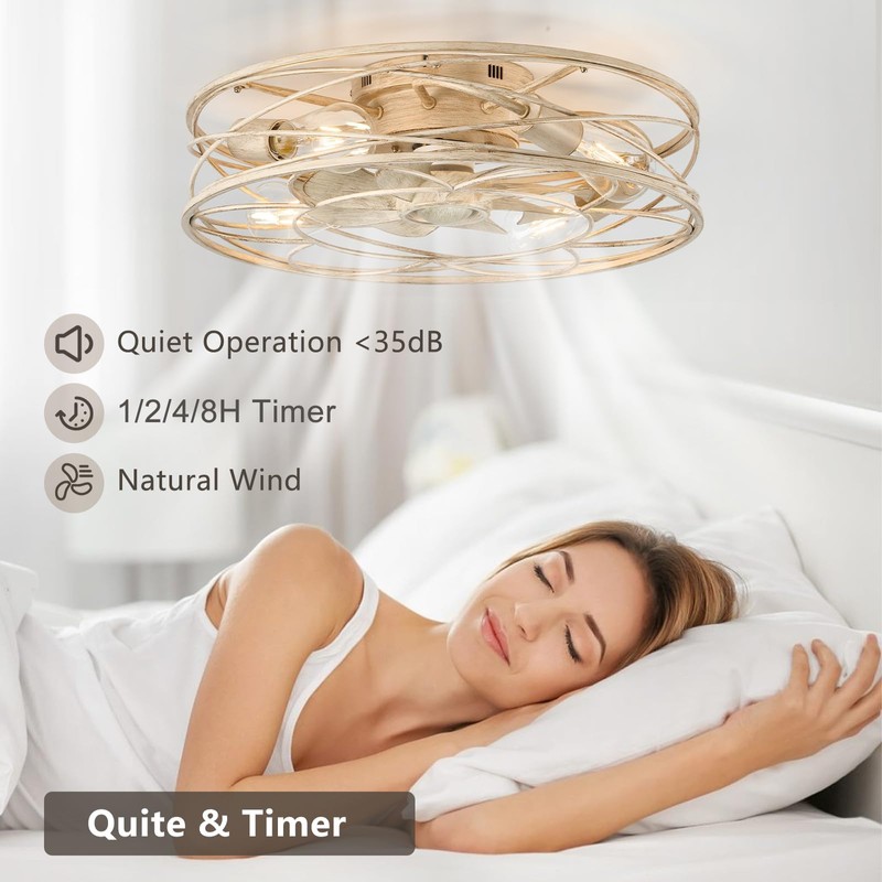 20 Inch Low Profile Caged Ceiling Fan with Light and