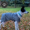 Muddy Paws Ultimate Reflective Dog Coat Medium, Silver
