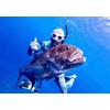 C4 Plasma Mask XL for Freediving and Diving Fishing (White)