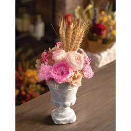Earth Farms Dry Flower White Approximately/2 ~ 4 cm herikurisamu・heddo do032130 – 011, G, 50-Pack