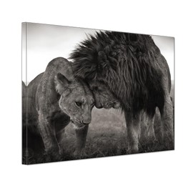 Lion Lioness Black and White Picture Master Bedroom Nursery Wall Art Minimalist Animal Couple Artwork Framed Canvas Painting Print for Home Bathroom Décor 12x16in Love Greyscale