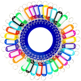 MAQIHAN Portable Ring Key Organizer - Key Organizer Keychain with 36 Separable Key Rings,36 Assorted Key Tags for Multiple Keys,Suitable for Office, Janitor, Hotel, Apartments, Car Rental