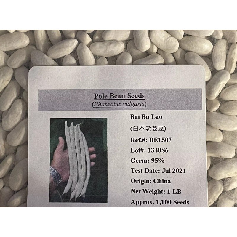 Pan-Asia Heirloom 60 BAI BU LAO Chinese Romano Pole Bean