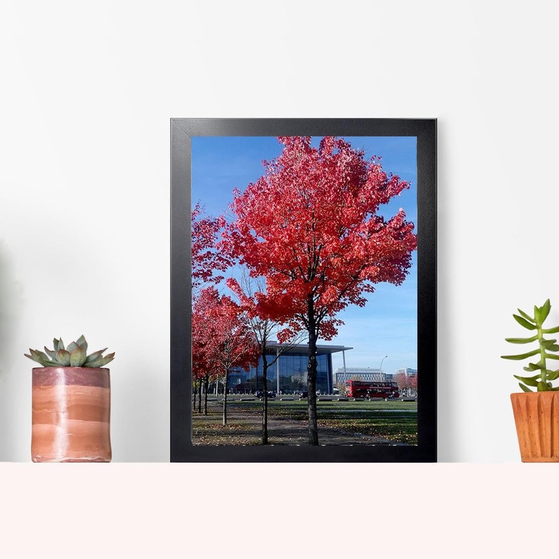 A4 Frame Picture Frame Photo Frame with Safe Perspex A4