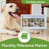 Green Pollywog | My First Year Picture Frame for Dogs