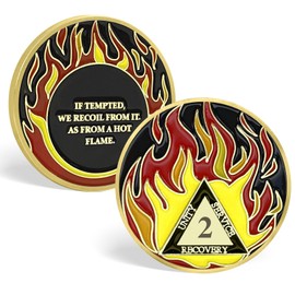 Sobriety Coin Month Sober Anniversary Golden Flames Recovery Token NA AA, AA Recovery Medallion Chip Great Sobriety Gifts for Men Women Alcoholics Anonymous Plastic Case (Flame Coin-2 Years)