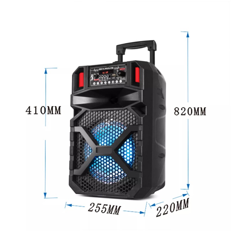 Reiko 8" Speaker with A charger line and wired mic,