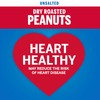 Planters Peanuts, Dry Roasted & Unsalted, 16 Ounce Jar (Pack