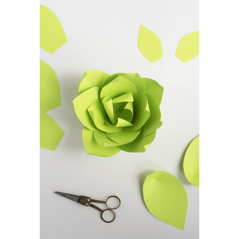 Astrobrights Mega Collection, Colored Paper, Bright Green, 625 Sheets, 24