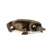 Hansa Toy Platypus 30cm