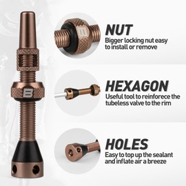 BWSHLF Tubeless Presta Valve Stem 40/44/55/60/65/70/80/100 mm, Super Light Aluminum, Universal MTB/ROAD BIKE, Black/Red/Blue/Gold, 2 Pack