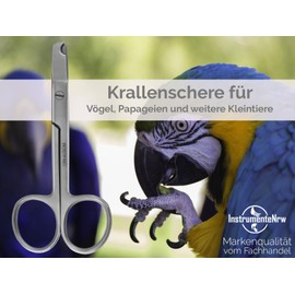 Claw Clippers Budgies Claw Pliers Birds Straight Claw Cutter 9.5 cm - Shorten Claws of Parrots Parakeets Small Animals - Stainless Steel - Brand Quality from Specialist Retailer