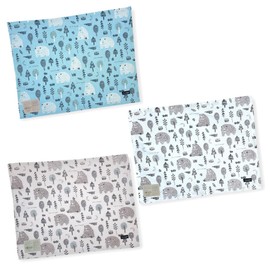 Lunch Mat, Lunch Cloth, Placemat, Kids, Nursery School, Kindergarten, Elementary School, Boys, Girls, Stylish (Natural Bear: 1473 (Set of 3)