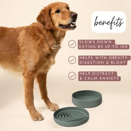 Should We Go? - The Slowdown Bowl - Silicone Slow Feeder for Dogs & Puppies, Slow Eating, Modern Lick Mat Design, Reduces Gulping, Dishwasher Fit, for All Breed, Mealtime Challenge, Large-Spruce