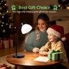 Desk Lamps for Home Office,Small LED Reading Lamp,5000K Eye-Care Desk