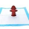 Cocoarm Hundepee-Pad-Trainer Feuer Hydrant Töpfchen-Trainingshilfe 20pcs Lebensechter Design -Sicht-Lösung für