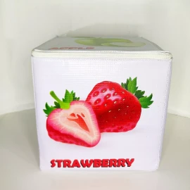 Castillo Didáctico Cubo De Frutas 20x20cm, Lona, En Ingles, Didáctico