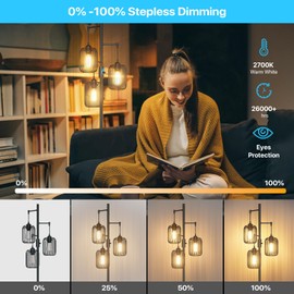 Floor Lamps for Living Room Dimmable Floor Lamp with Cage Shade 70'' Standing Lamps for Living Room Corner Floor Lamp with 3 LED Bulbs Rustic Floor Lamp for Bedroom Office Industrial Modern