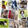 Miru pochi Dog Cat Harness for Small Dogs, Ultra Small