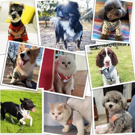 Miru pochi Dog Cat Harness for Small Dogs, Ultra Small Dogs, Leash Set, Collar, Soft, Pets, Easy to Put on, Wrinkle, Breathable, Lightweight, Light Reflective, Walk, Pull Prevention, Safety, Easy