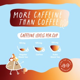 Kubo Tea, Organic High Energy, High Caffeine Mushroom Tea Blend, 300mgs of Reishi Mushroom, 20 Servings (155mg Caffeine each), Pillow Tea Bags, Compostable & Biodegradable Packaging, Brew Hot or Iced, Healthy Coffee Substitute- Reishi Mushroom Black Tea