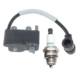 Coil Ignition With BM6A For Echo ED-200 EDR-210 ES-210 ES-211 GT-200 GT-200EZR GT-200R GT-200i GT-201EZR GT-201R GT-201i GT-225 GT-225L GT-225SF Parts#A411000130 A425000000(Canada) 15901019830 BPM8Y