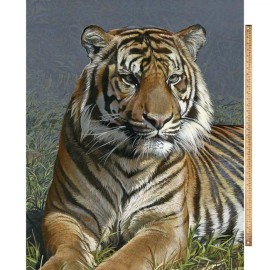 David Textiles 35.5" X 44" Panel Tiger Panel Wildcat Wildlife Jungle Animals Fabric D471.54