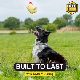 Bite Force Dog Chew Toys