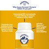 Dorwest Turmeric Tablets for Dogs and Cats, 100 Tablets, Easy-To-Absorb