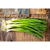 Bunching Green Onion Seeds Scallions About 300 Non-GMO Seeds for